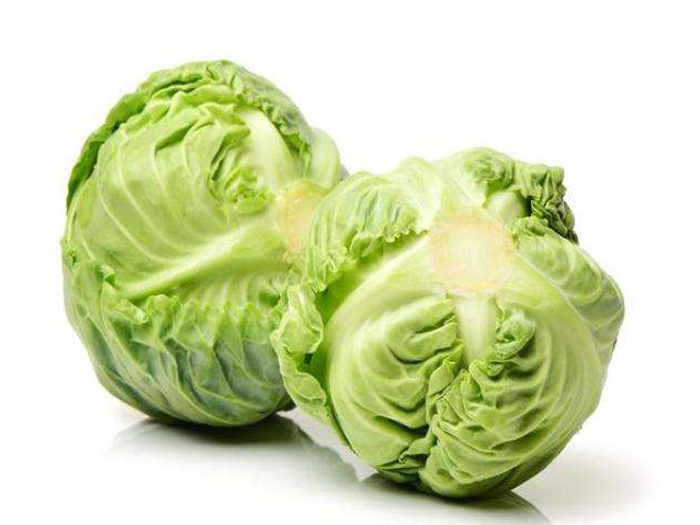 image of cabbage #13