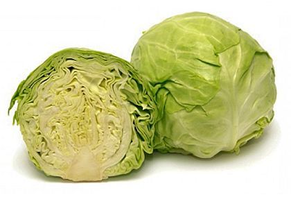 image of cabbage #15