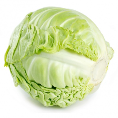 image of cabbage #16