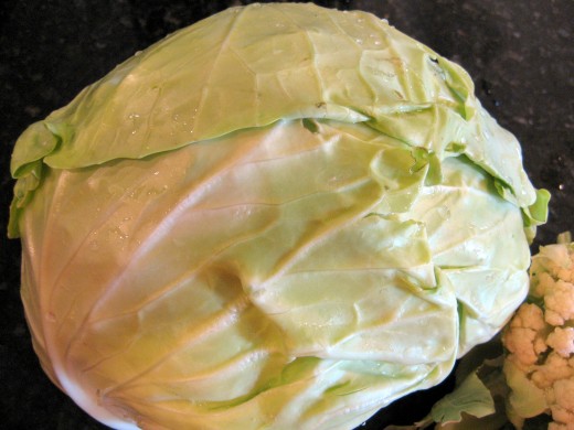 image of cabbage #17