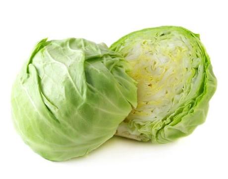 image of cabbage #18