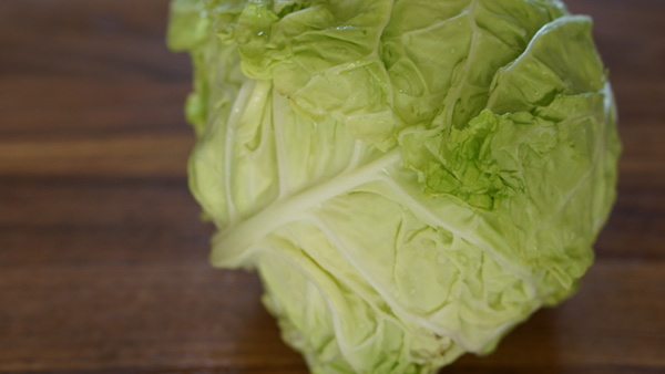 image of cabbage #19