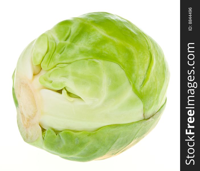 image of cabbage #20