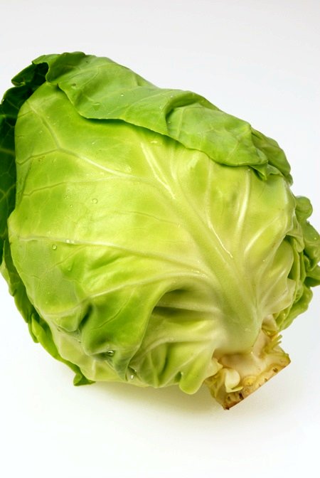 image of cabbage #21