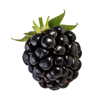 image of blackberry #0