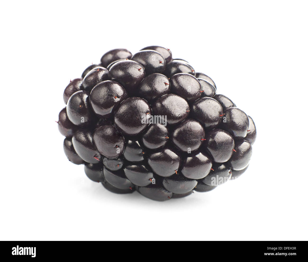 image of blackberry #21