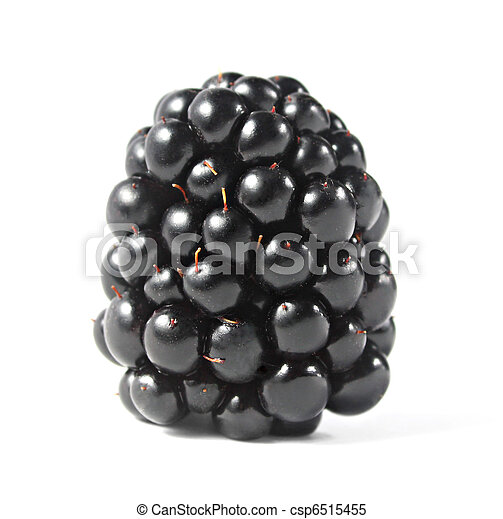 image of blackberry #24