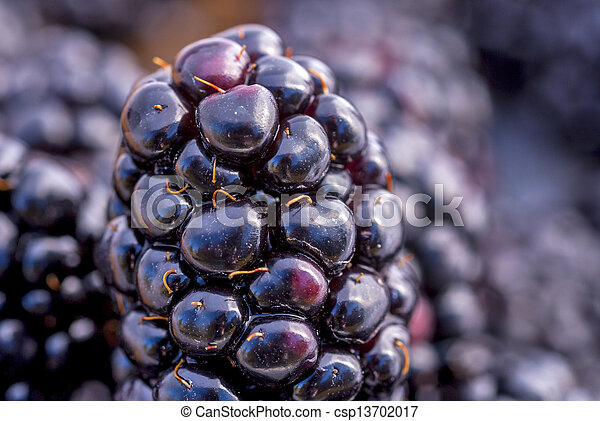 image of blackberry #27