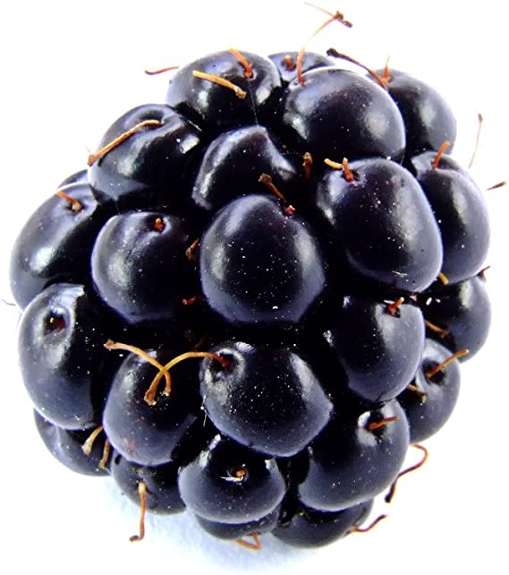 image of blackberry #0