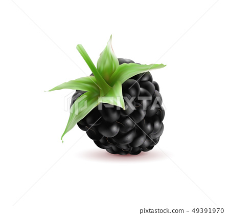 image of blackberry #2