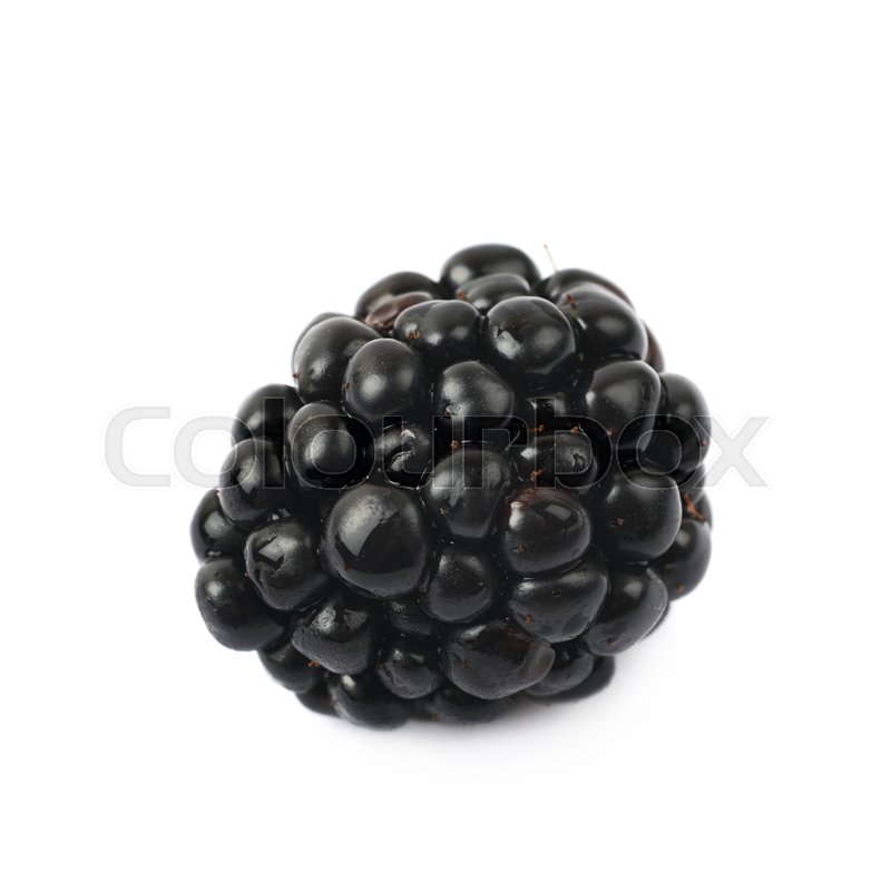 image of blackberry #3