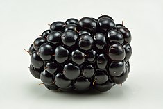image of blackberry #4