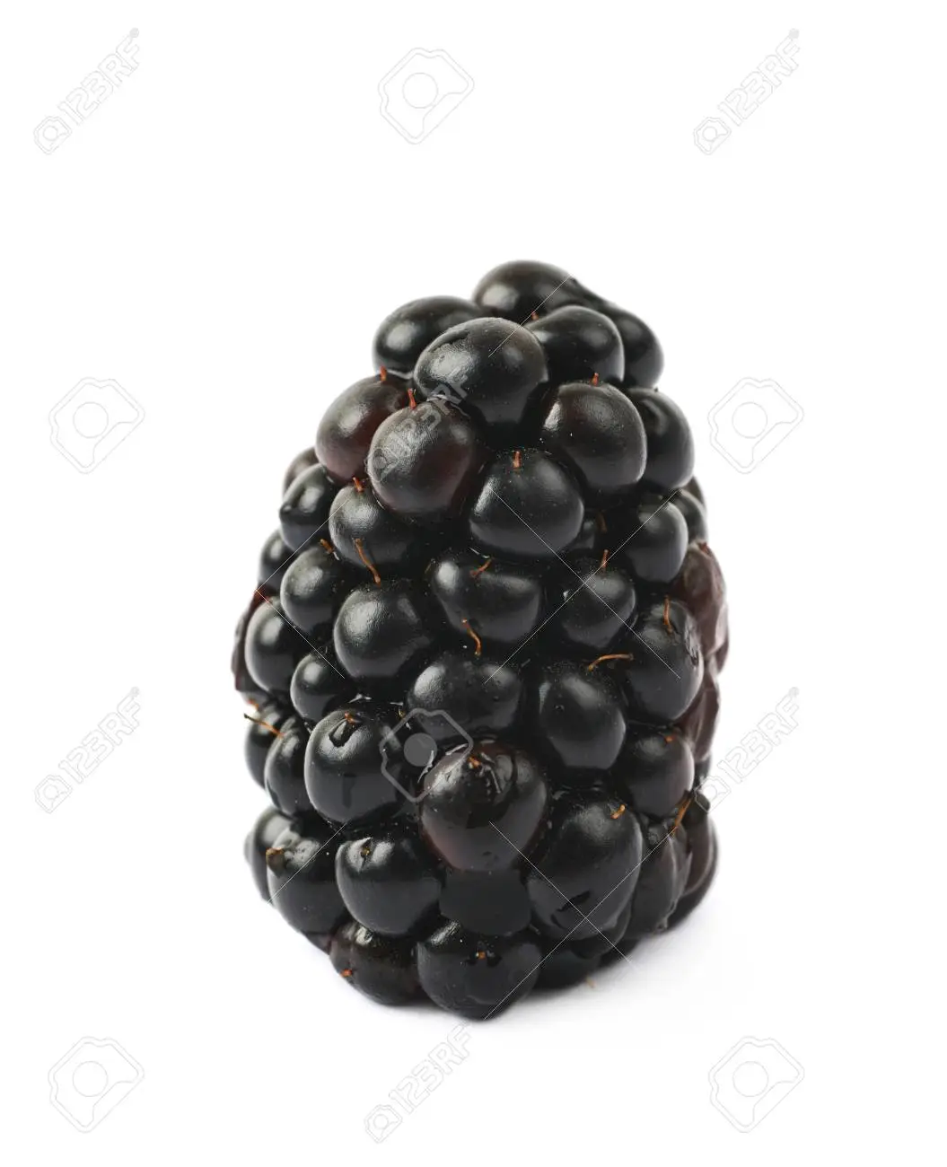 image of blackberry #5