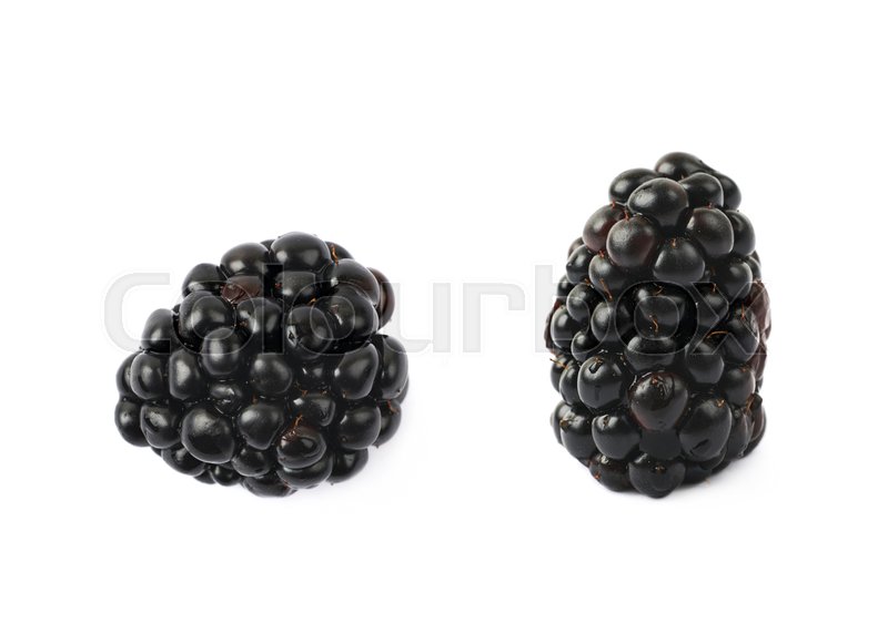 image of blackberry #6