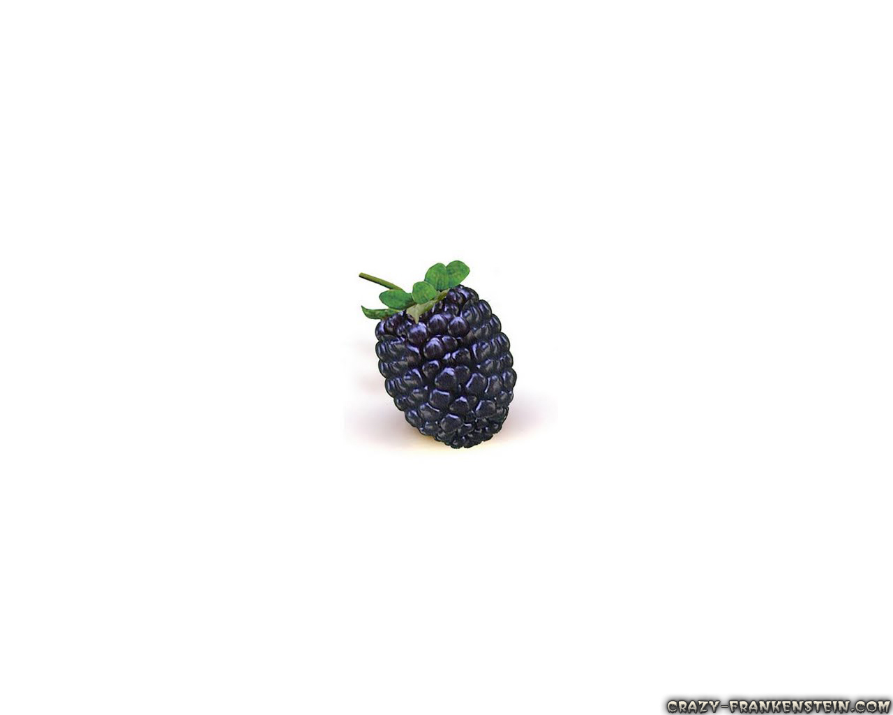image of blackberry #7
