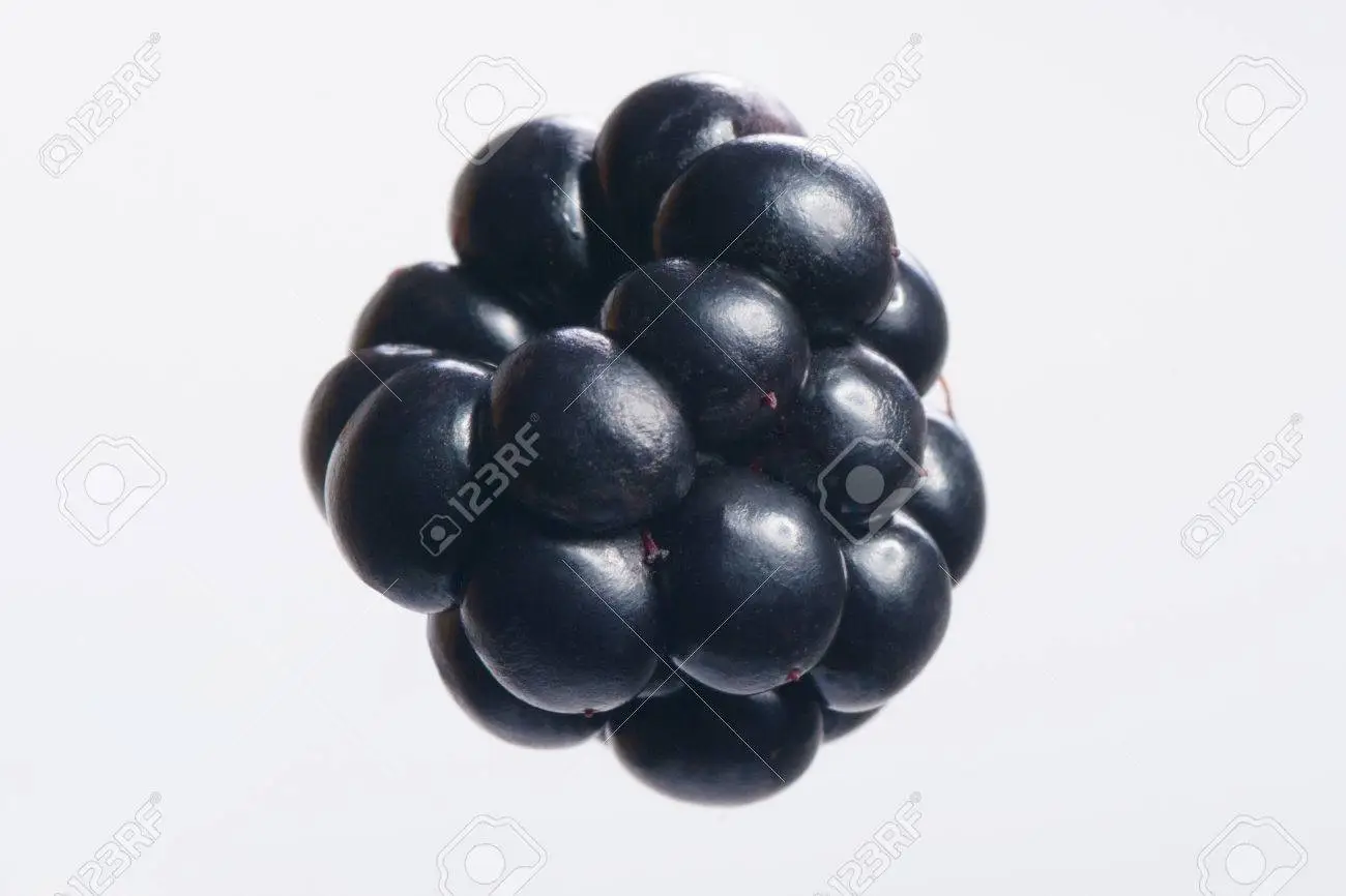 image of blackberry #8