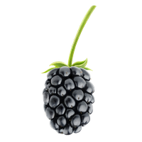 image of blackberry #9