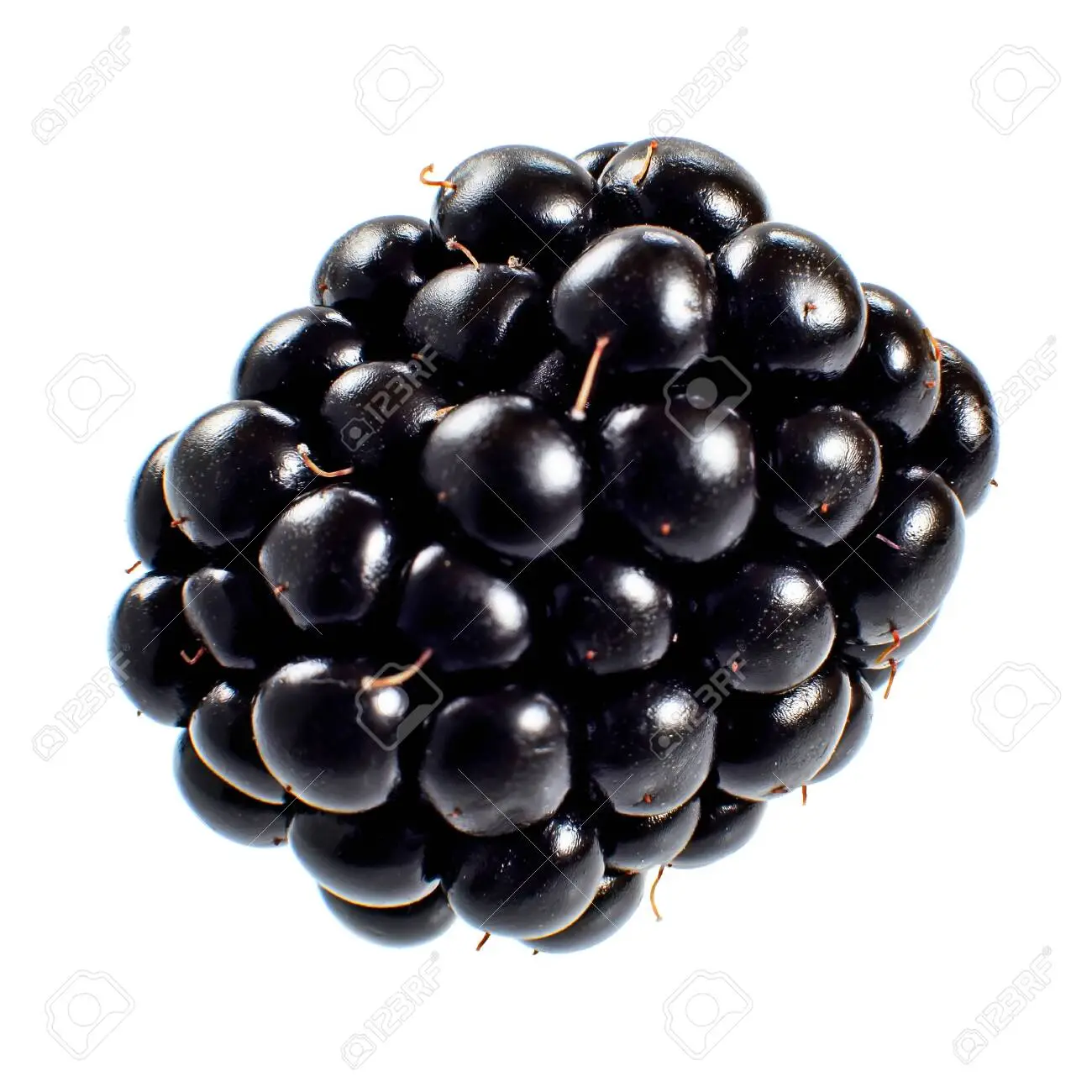 image of blackberry #10