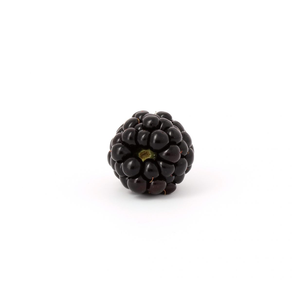 image of blackberry #14