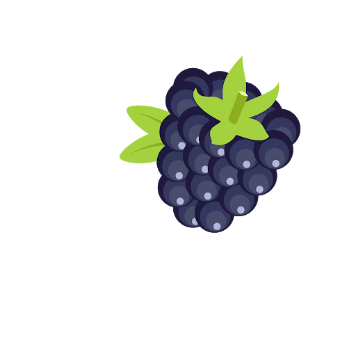 image of blackberry #16