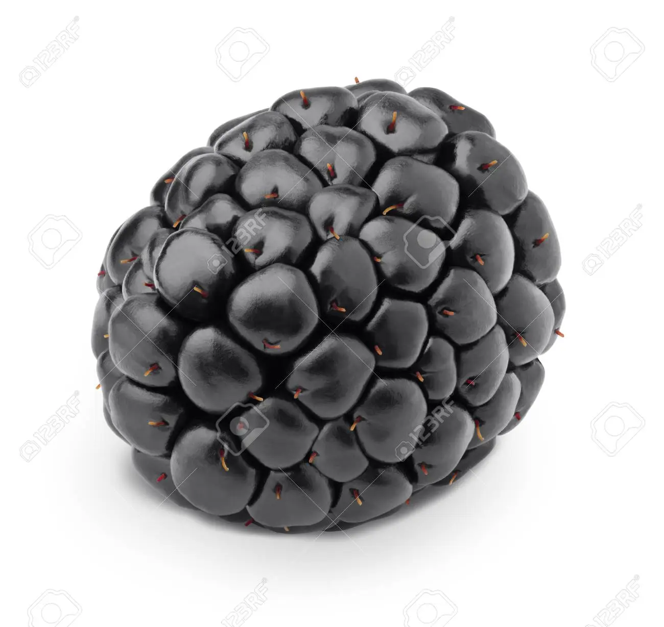 image of blackberry #17