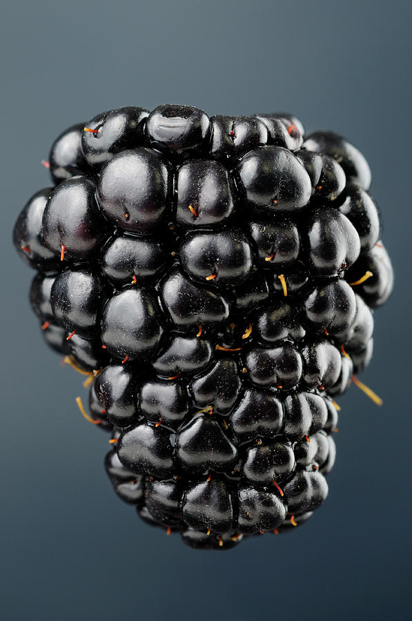 image of blackberry #18