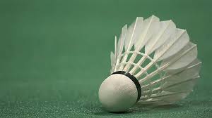image of badminton #0