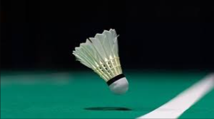 image of badminton #0