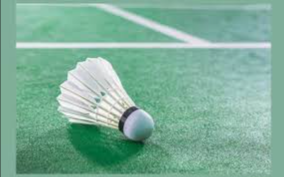 image of badminton #2