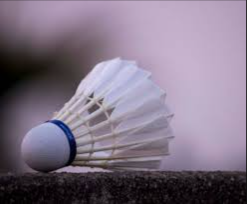 image of badminton #3