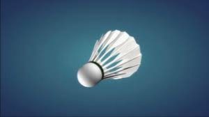 image of badminton #5