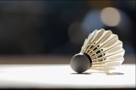 image of badminton #7