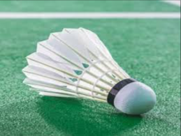 image of badminton #8