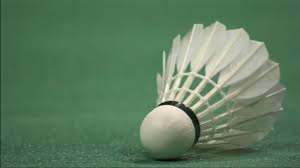 image of badminton #9