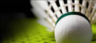 image of badminton #10