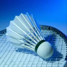 image of badminton #11