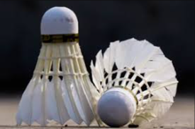 image of badminton #12
