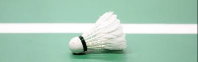 image of badminton #13