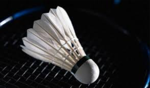 image of badminton #14