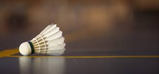 image of badminton #15