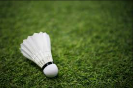 image of badminton #16