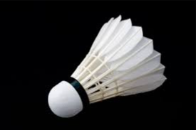 image of badminton #17