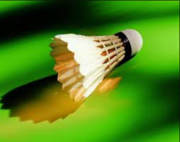 image of badminton #18