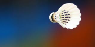 image of badminton #19