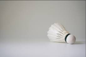 image of badminton #20