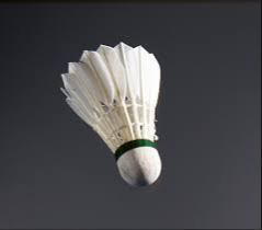 image of badminton #21