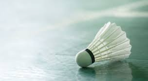 image of badminton #22