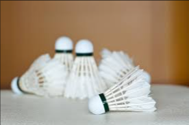image of badminton #24