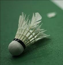 image of badminton #25