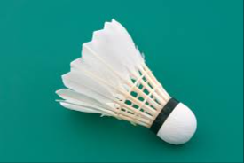 image of badminton #27